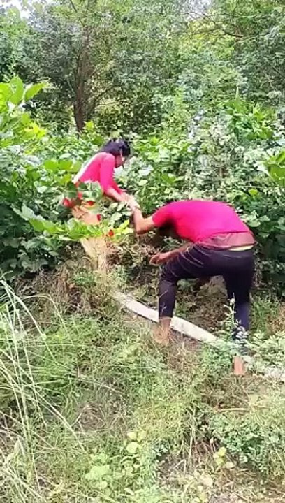 Dasi rajab family vlogs | dasi anti village vlogs | daily vlog #dailyvlog #mayag #foryou