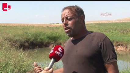 Konya'nın ardından Urfa: 10 metre derinliğinde obruk oluştu