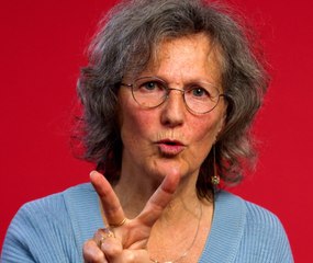 Vrai ou faux : les araignées