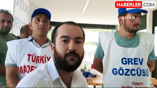 Fatsa'daki Tolsa Fabrikası'nda Grev Sürüyor: İşçiler Hakları İçin Direniyor