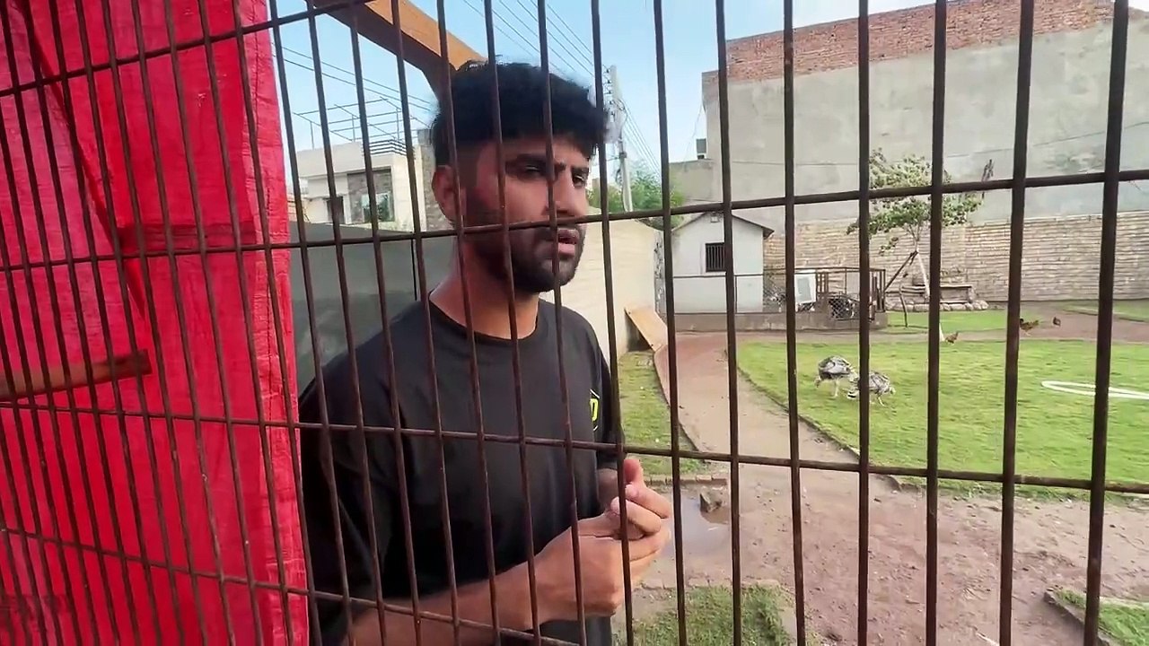 shehar mein dehat ep 38 2024 animal mini zoo Neel Gaiy Ka Baby Hmary Ghr AgeaLife Main First Time Dekha