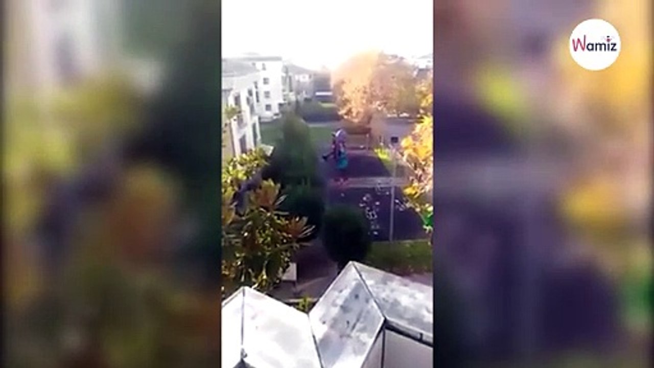 Obserwuje plac zabaw z okna i nie wierzy własnym oczom, kiedy widzi jakie zwierzę zjeżdża ze zjeżdżalni!