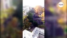 Obserwuje plac zabaw z okna i nie wierzy własnym oczom, kiedy widzi jakie zwierzę zjeżdża ze zjeżdżalni!