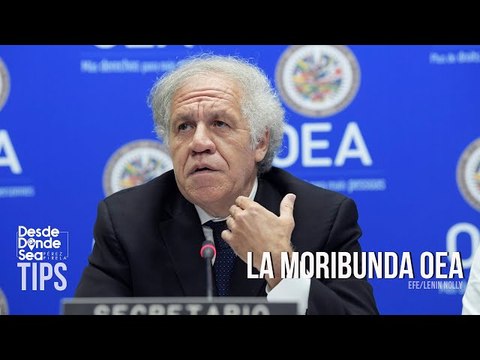 Ministerio de las colonias: ¿Los gobiernos de izquierda de Latinoamérica están sepultando a la OEA?