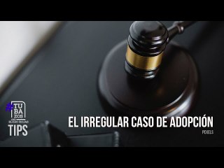 El irregular caso de adopción de un menor en Aragua: Fiscales y jueces participaron en el proceso