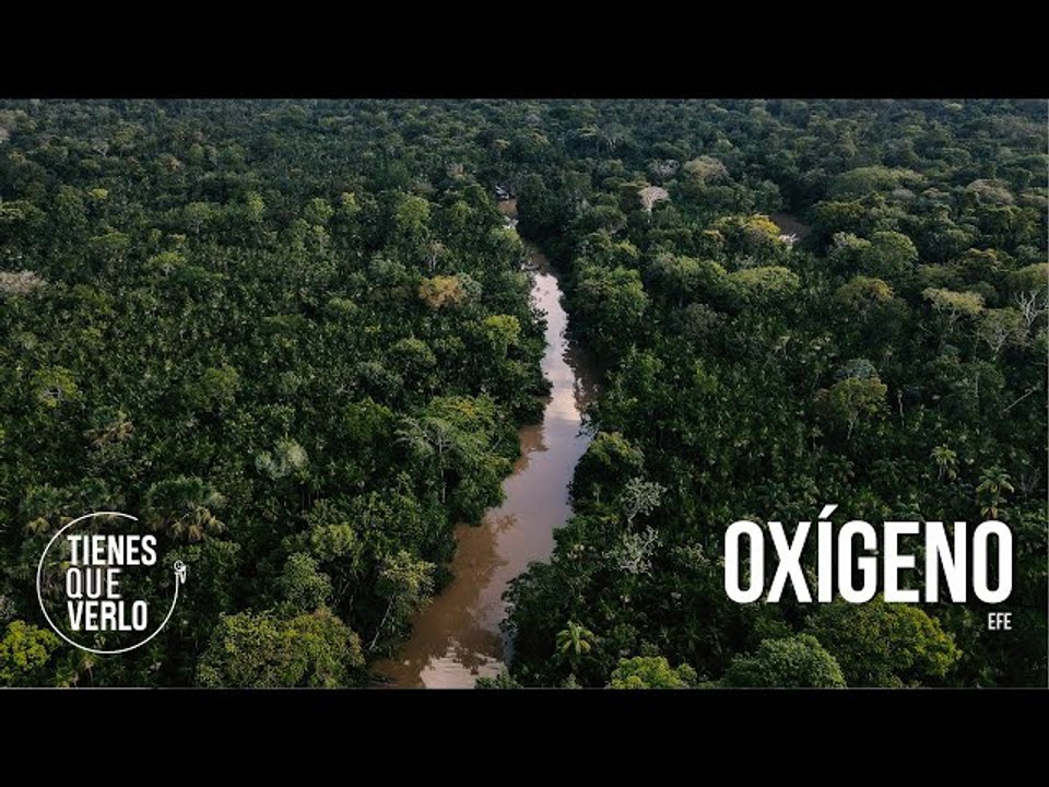 ¿Cuál es el verdadero significado que tiene la cuenca Amazónica para el mundo?