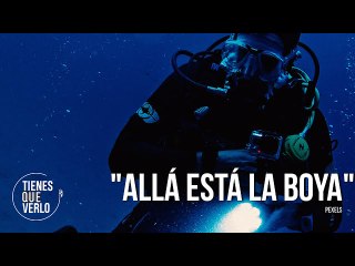 "Allá está la boya": Video del momento cuando buzo se lanza para ubicar carro que cayó en el Puente