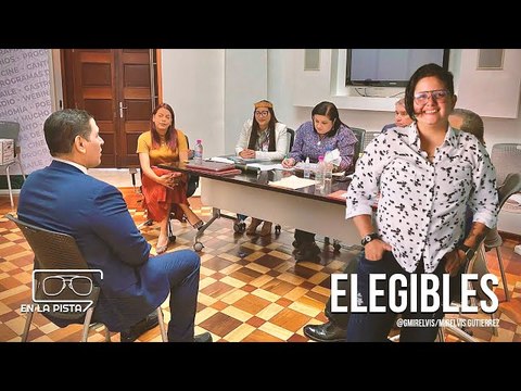 Etapa crucial: Comité de Postulaciones cerca de definir a los 45 candidatos para el CNE