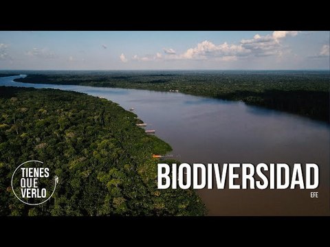 Países de la Otan ya tienen los ojos puestos sobre los recursos de la Amazonía