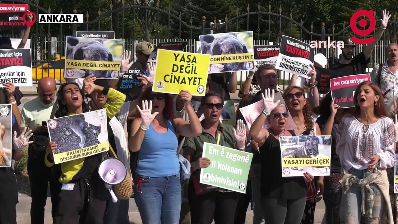 Yaşam hakkı savunucuları Anayasa Mahkemesi önünde yaşam nöbetine başladı