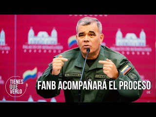 "Los tenemos a la vista del horizonte": Padrino López sobre venideras elecciones