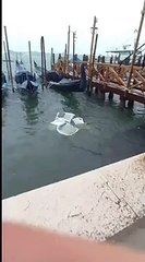 Venezia, il video dell'acqua alta che allaga la zona di San Marco