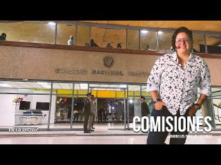 Nuevo CNE: Elvis Amoroso es el presidente y Carlos Quintero el vicepresidente
