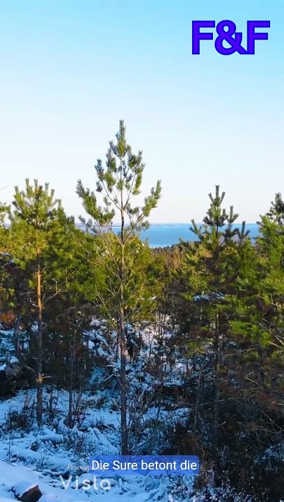 Sure Yasin-kurze Erklärung