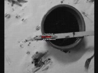 Cinema bizarre concours