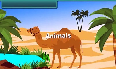 Animals | EVS | English-medium Education | Child-friendly