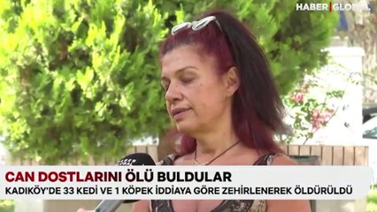 Kadıköy'de endişe sürüyor: Can dostlarını ölü buldular
