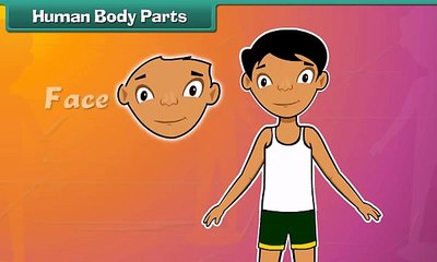 Human Body Parts | EVS | English-medium Education | Child-friendly