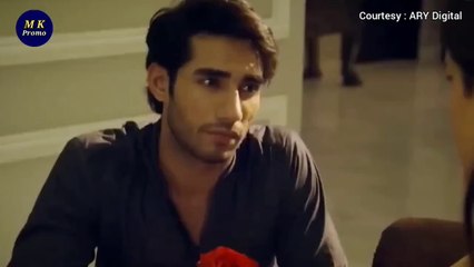 Noor Jahan Episode 34 🌟