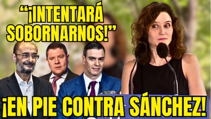 AYUSO advierte a PAGE, LAMBÁN y BARONES SOCIALISTAS para que se ALCEN contra la DICTADURA de SÁNCHEZ