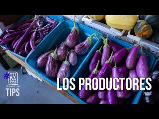 ¿Cómo afecta a los productores el conflicto Fedenaga-Parceleros del Sur del Lago?