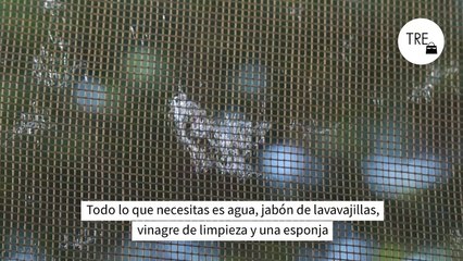 Cómo limpiar las mosquiteras sin descolgarlas de la ventana: el truco para hacerlo en 5 minutos