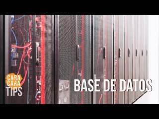 ¿De dónde habría salido la base de datos que se maneja para las primarias?