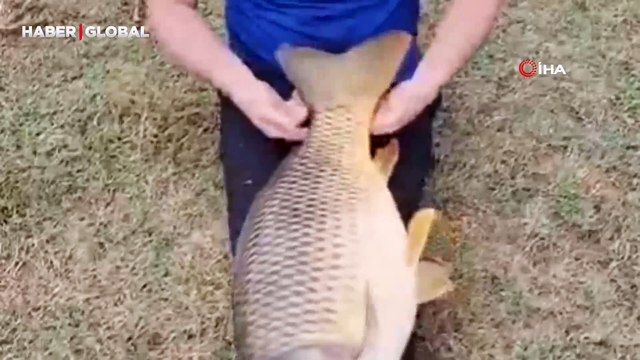 Edirne'de oltayla 16 kiloluk sazan yakalayınca, bacaklarında bebek gibi salladı