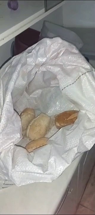 Dona de casa de repouso clandestina é presa por maus tratos a seis idosos e animais em Itanhaém