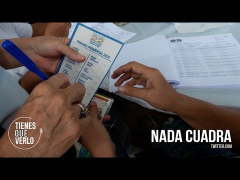 Asesor técnico de las primarias lo dice: En las primarias no votó una persona por minuto