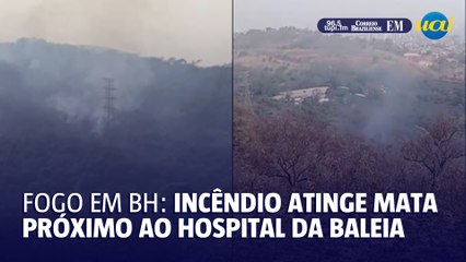 Incêndio atinge mata próxima a Hospital da Baleia em BH