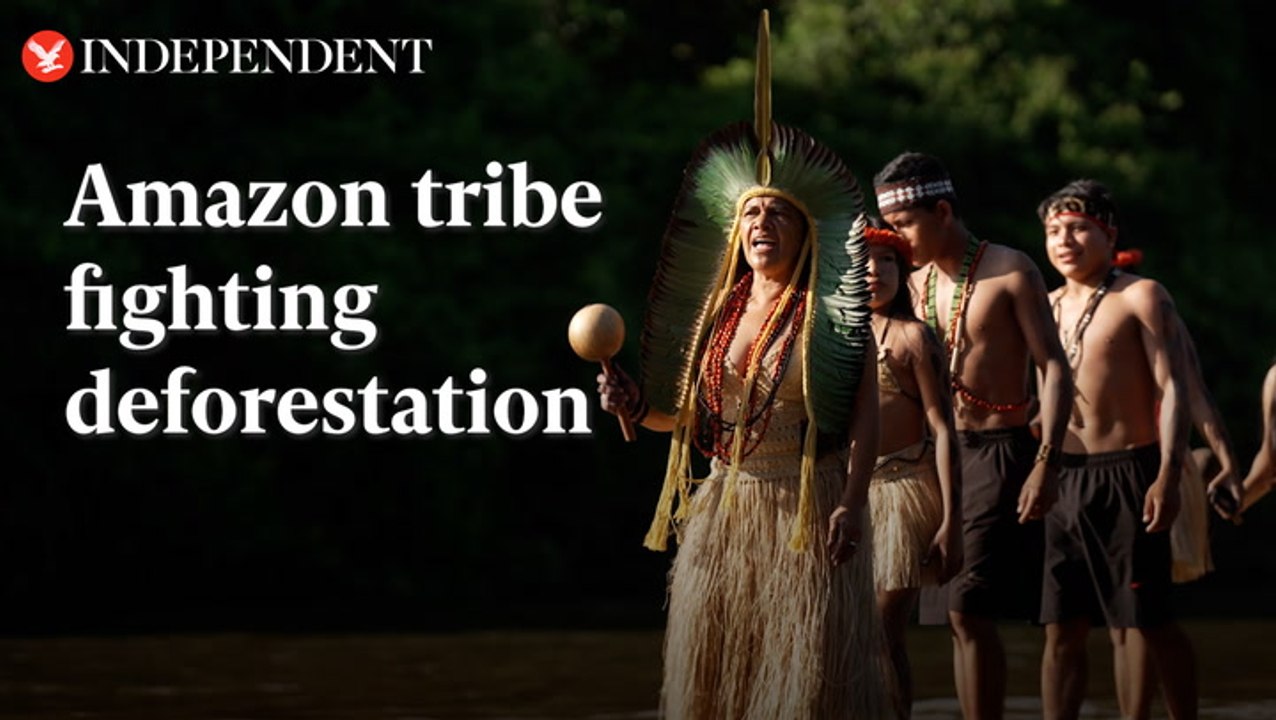 The indigenous Amazon community fighting deforestation - video Dailymotion