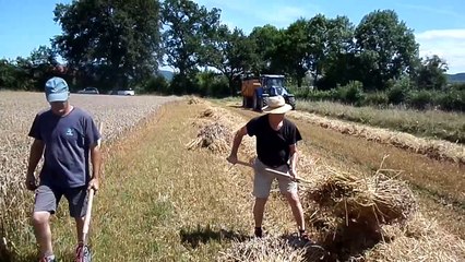 2024 - les bénévoles ont moissonné à l'ancienne   pour le battage du mois août
