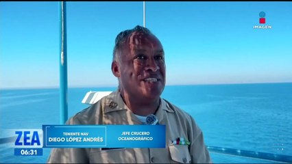 Biólogos trabajan para descubrir las causas de mortandad de la tortuga caretta caretta