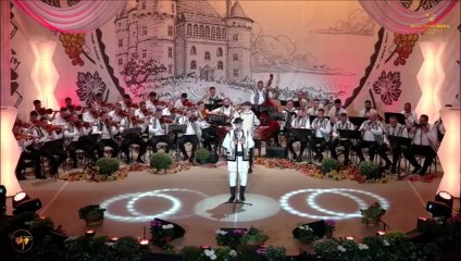 Sebastian Serban - Festivalul Strugurele de aur - Alba-Iulia - 04.09.2024