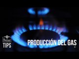 ¿Las empresas privadas pueden intervenir en la producción del gas y petróleo en Venezuela?