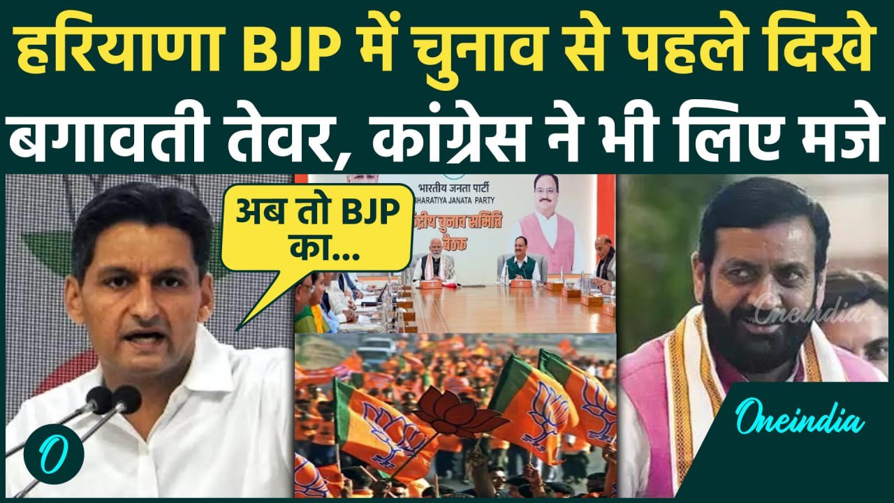 Haryana Election 2024: Deepender Hooda का चुनाव से पहले बड़ा ऐलान, BJP को घेरा | वनइंडिया हिंदी