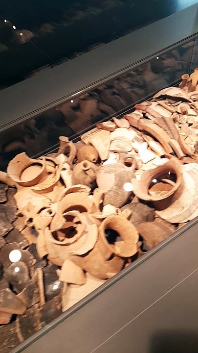 Rows of ancient ceramic remains at the Israel Museum
