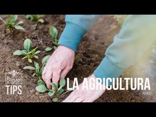 ¿Qué ha venido pasando con la agricultura en Venezuela en los últimos 100 años?