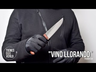 "Tribunal de la inquisición": La reacción de Guillermo Améstica en el caso Canserbero