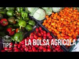 La bolsa agrícola en Venezuela: ¿Qué significa?