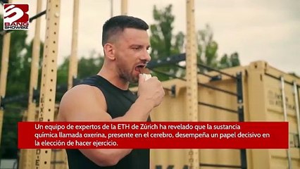 Descubren una sustancia química que hace que la gente prefiera hacer ejercicio a comer