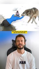 Ces animaux sont des héros qui ont sauvé des vies