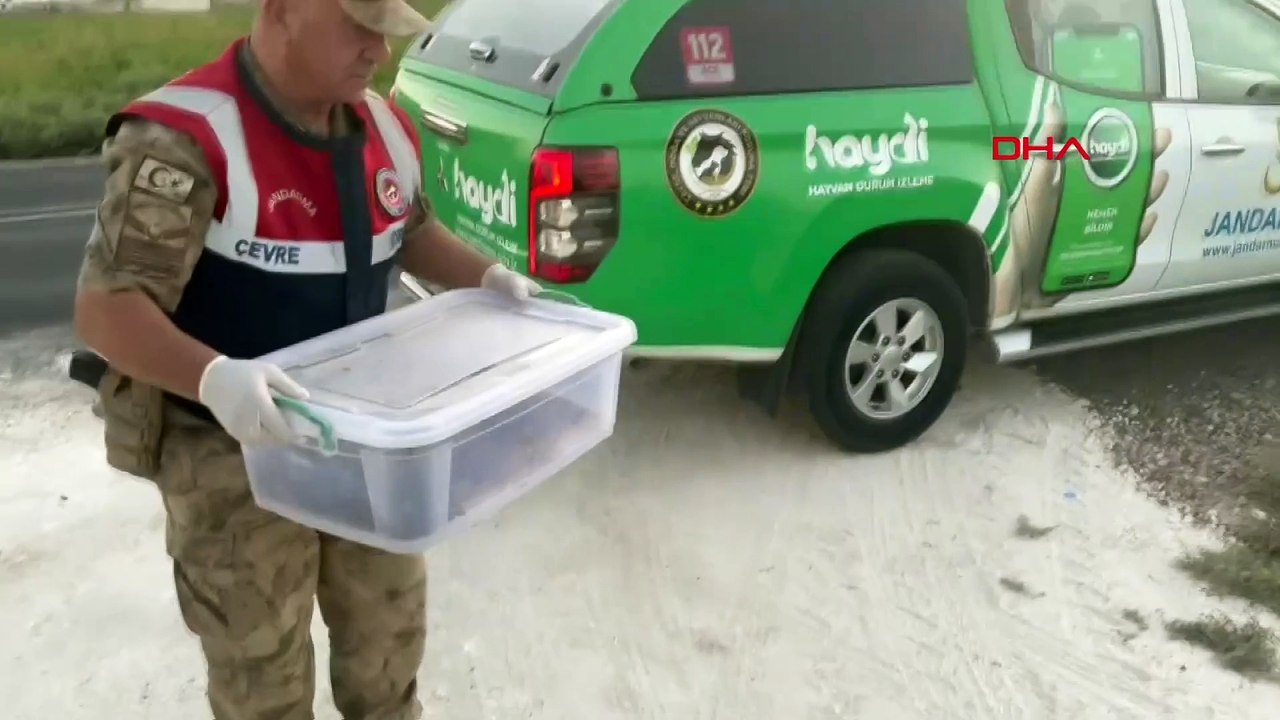 Litresi 10 milyon dolara satılıyor: Şanlıurfa'da ele geçirildi