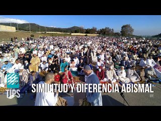 ¿Es de ignorantes generalizar cuando se habla del pueblo musulmán?