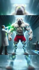 Funny and strong Rabbit fighting