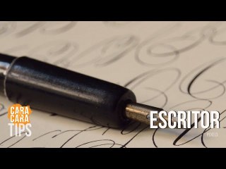 José Martí: escribió "Escenas norteamericanas": ¿Qué significó?