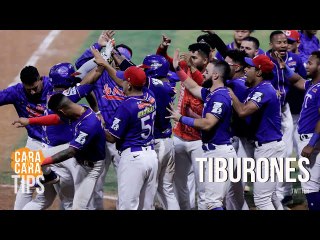 ¿Qué significó el título de Tiburones para La Guaira?