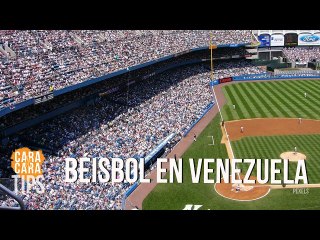 La Liga Mayor de Béisbol en Venezuela: ¿Cuáles son sus aportes?