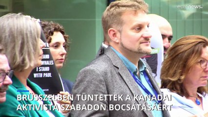 EP-képviselők Paul Watson dániai tengerészeti aktivista szabadon bocsátását követelik